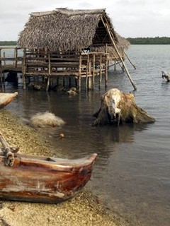 traditional-tongan-architecture.jpg