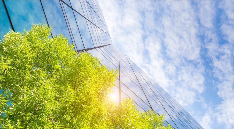 Committee of Experts and Working Group