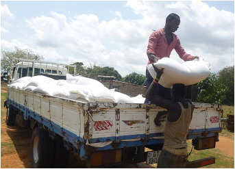 GADCO staff delivering rice seed to a project site.