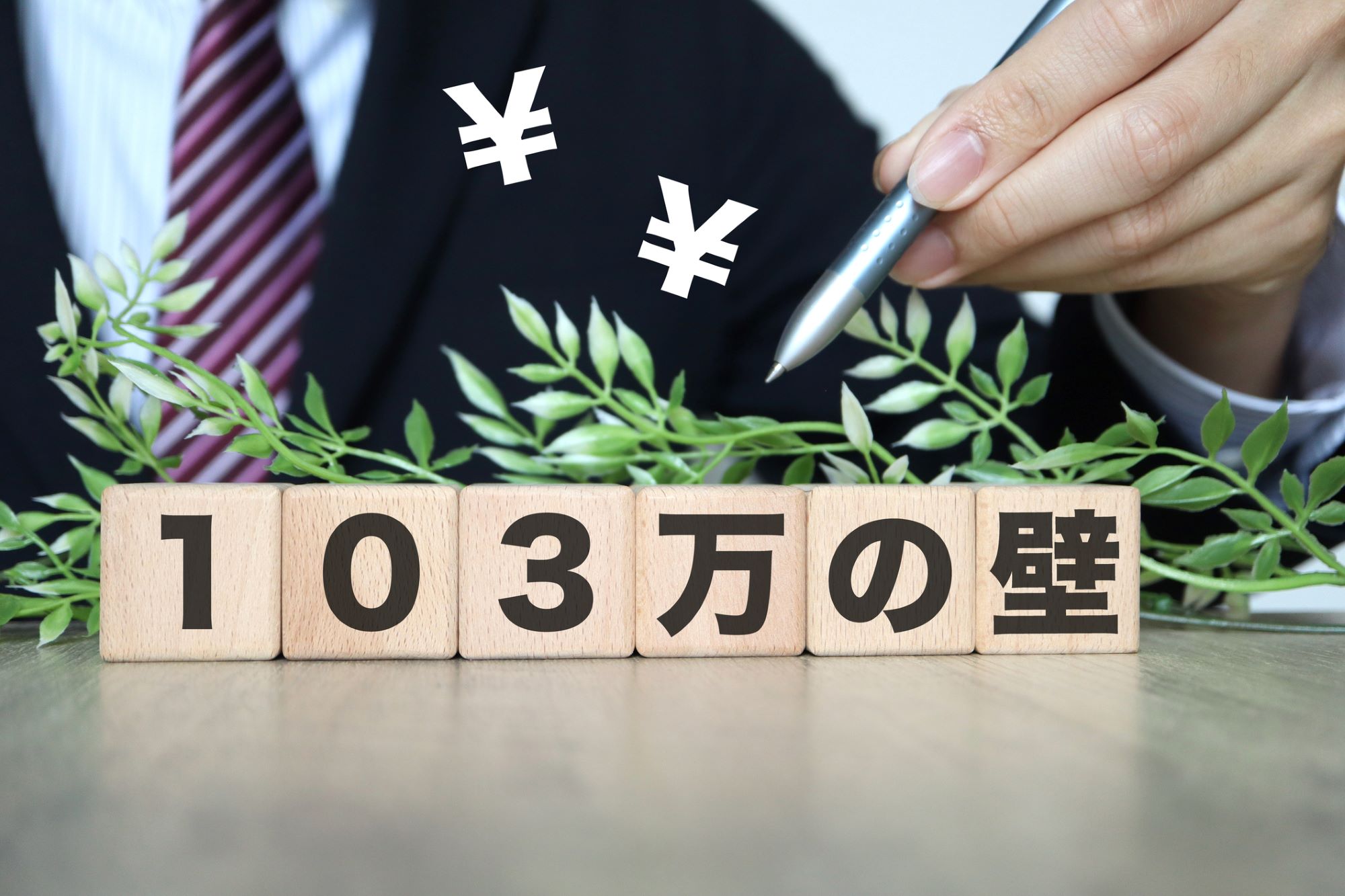 The Two Income Barriers: How Do We Address Them?