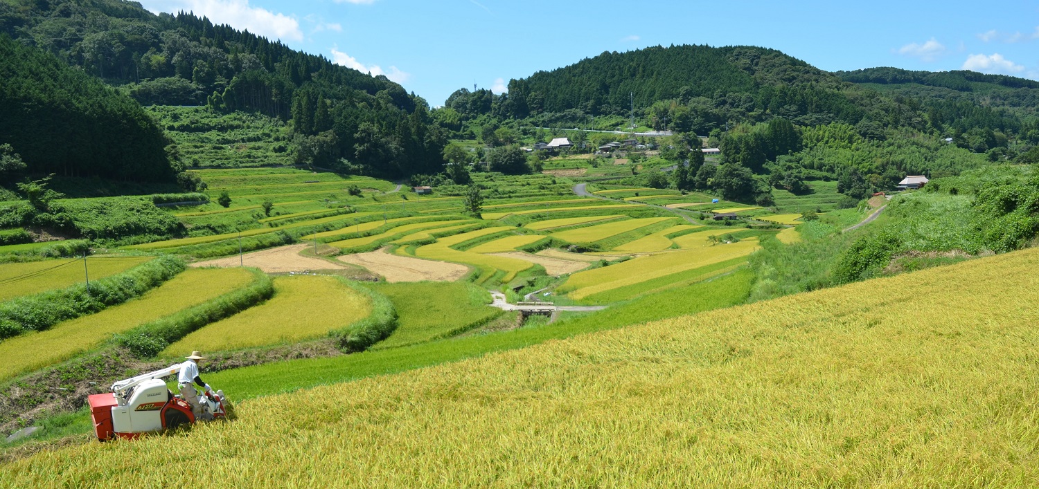 Tackling the Abandoned-Land Crisis: A View from the Front Lines of Farmland Reform