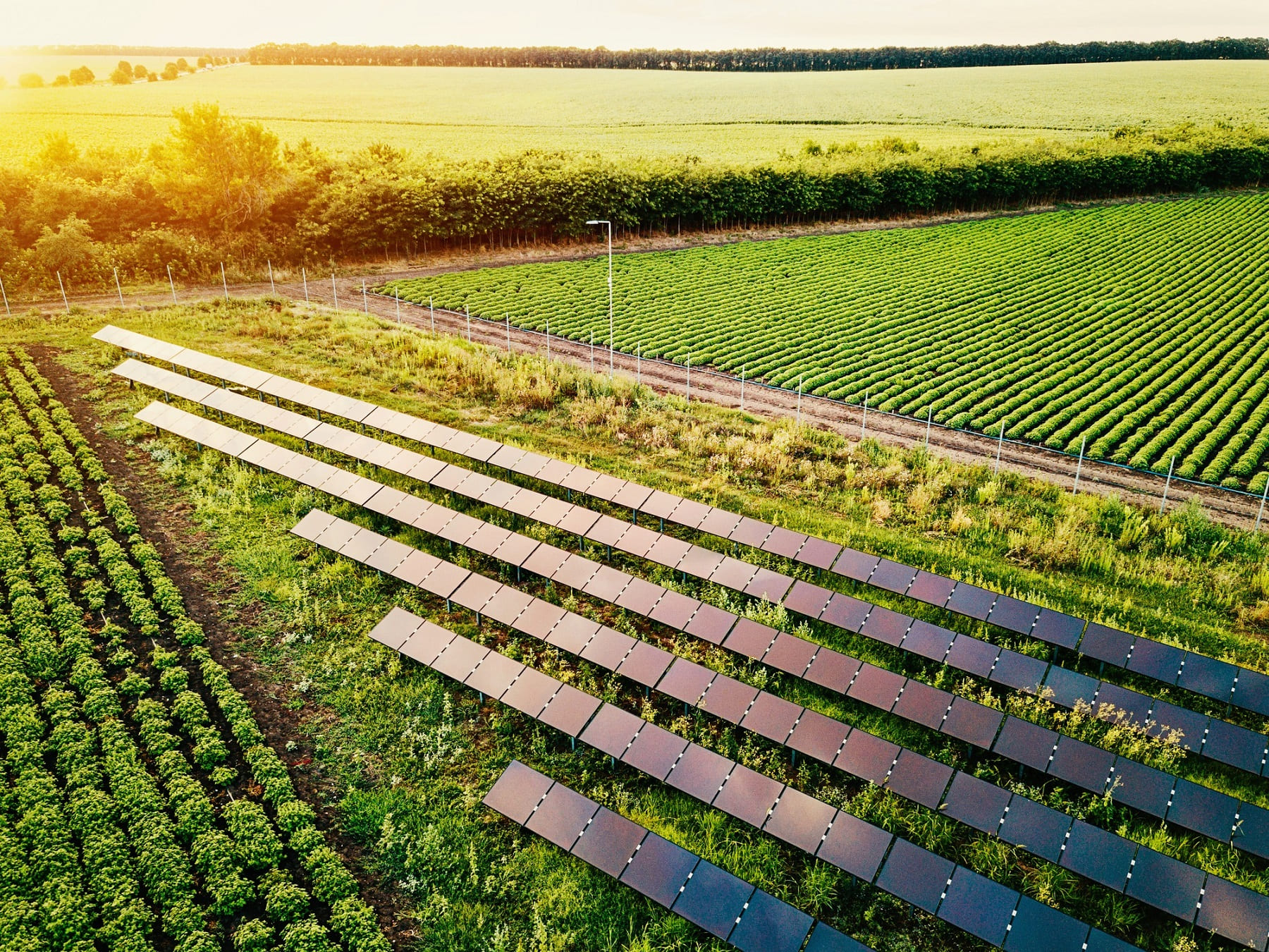 Renewable Energy Solutions for Japan’s Struggling Regional Economies: Miyazu’s Experiment in Community Power