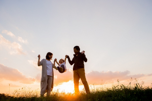 Family Change and Low Fertility in Japan: How Useful Are Broad Comparative Theoretical Frameworks?   