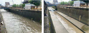 Urban Stormwater Management and the Role of Civil Society